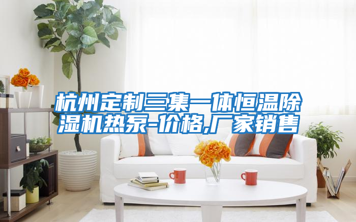 杭州定制三集一體恒溫除濕機(jī)熱泵-價(jià)格,廠家銷(xiāo)售