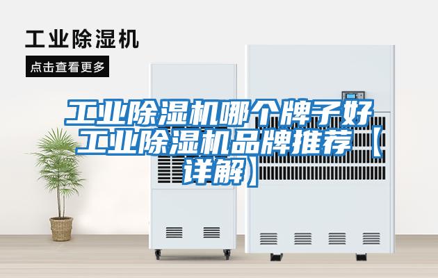 工業除濕機哪個牌子好 工業除濕機品牌推薦【詳解】