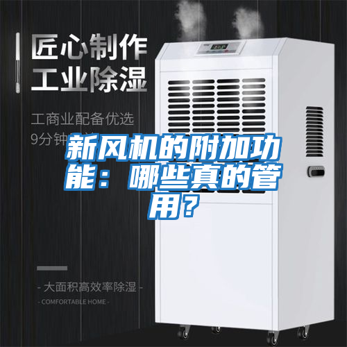 新風機的附加功能：哪些真的管用？