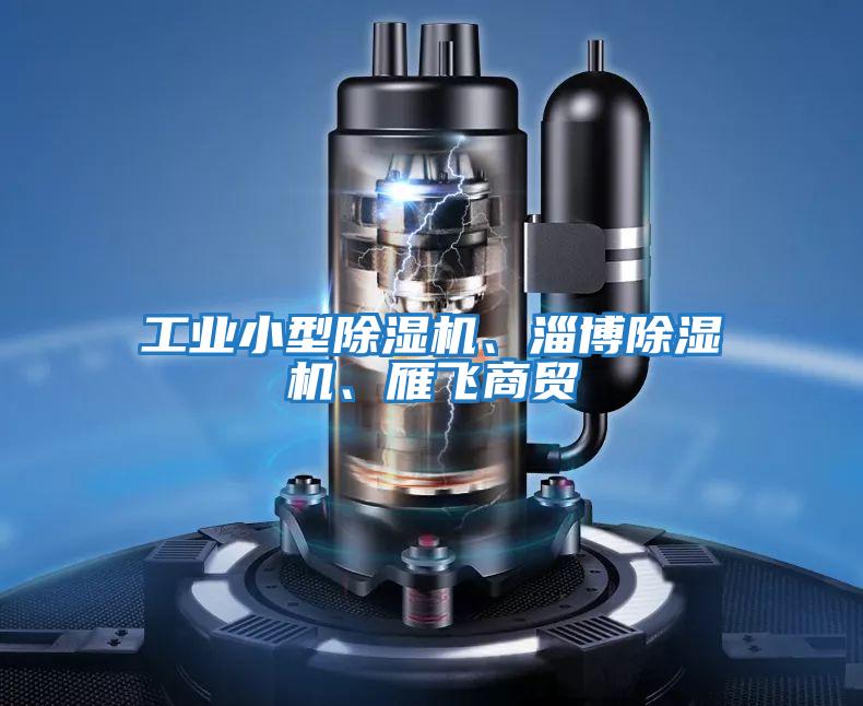 工業小型除濕機、淄博除濕機、雁飛商貿
