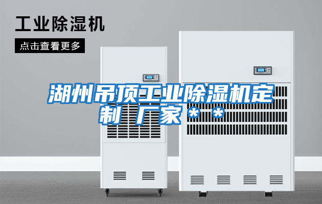 湖州吊頂工業(yè)除濕機定制 廠家**