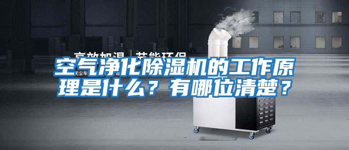 空氣凈化除濕機(jī)的工作原理是什么？有哪位清楚？
