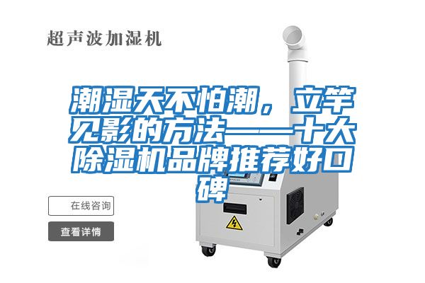 潮濕天不怕潮,立竿見影的方法——十大除濕機品牌推薦好口碑