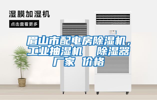 眉山市配電房除濕機，工業抽濕機  除濕器廠家 價格