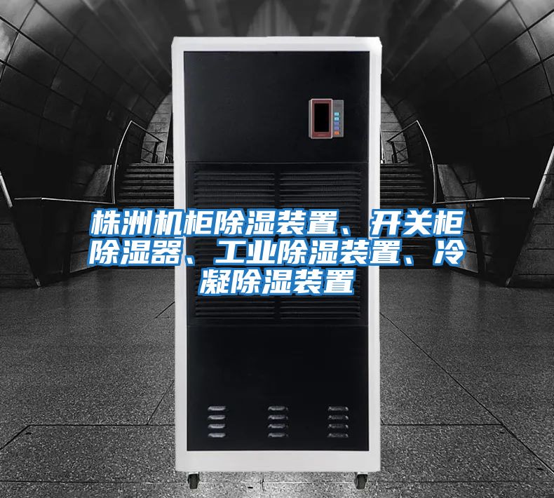 株洲機柜除濕裝置、開關柜除濕器、工業(yè)除濕裝置、冷凝除濕裝置