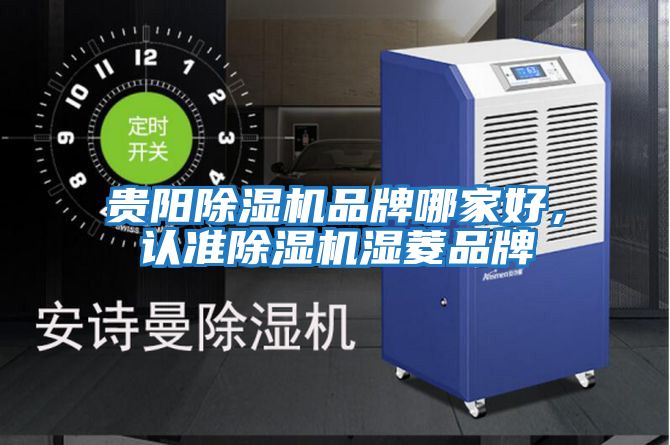 貴陽除濕機品牌哪家好,認準除濕機濕菱品牌