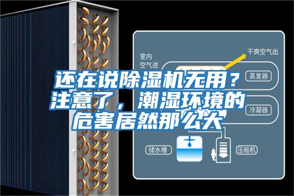 還在說除濕機(jī)無用？注意了，潮濕環(huán)境的危害居然那么大