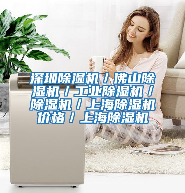 深圳除濕機(jī)/佛山除濕機(jī)/工業(yè)除濕機(jī)/除濕機(jī)/上海除濕機(jī)價(jià)格/上海除濕機(jī)