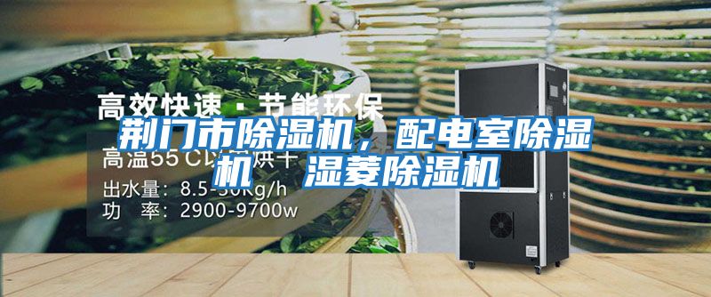 荊門市除濕機(jī),配電室除濕機(jī) 濕菱除濕機(jī)