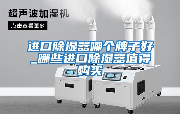 進(jìn)口除濕器哪個(gè)牌子好_哪些進(jìn)口除濕器值得購買