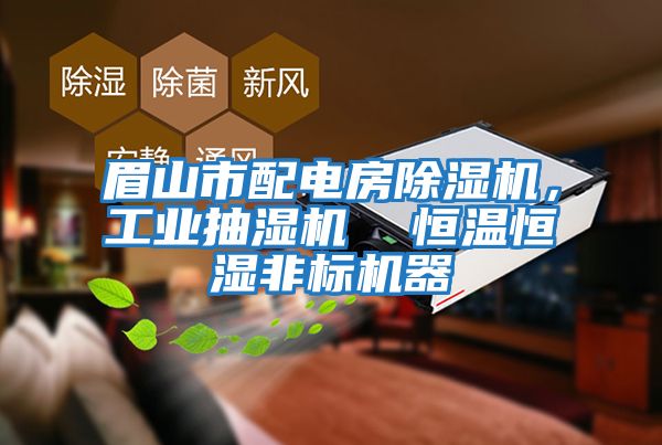 眉山市配電房除濕機(jī),工業(yè)抽濕機(jī) 恒溫恒濕非標(biāo)機(jī)器