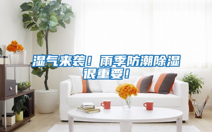 濕氣來襲！雨季防潮除濕很重要！