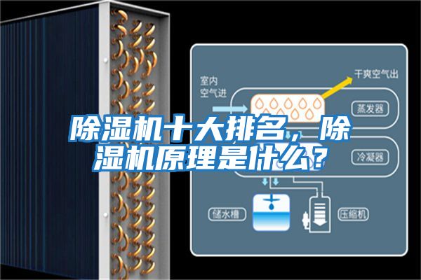 除濕機十大排名，除濕機原理是什么？