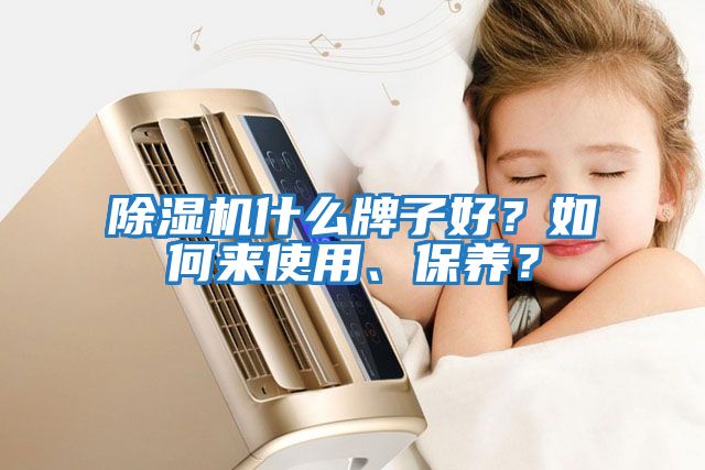 除濕機什么牌子好？如何來使用、保養？