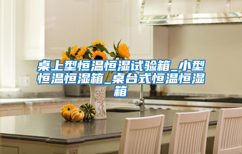 桌上型恒溫恒濕試驗(yàn)箱_小型恒溫恒濕箱_桌臺(tái)式恒溫恒濕箱