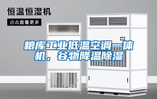 糧庫工業低溫空調一體機，谷物降溫除濕