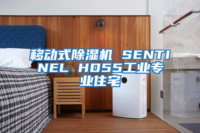 移動式除濕機 SENTINEL HD55工業專業住宅