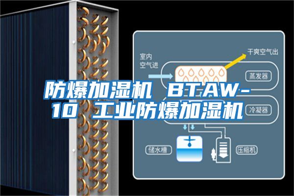 防爆加濕機 BTAW-10 工業防爆加濕機