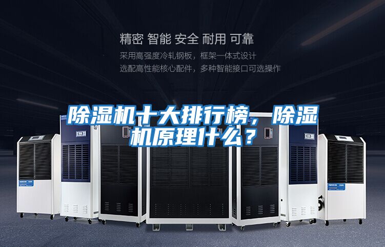 除濕機十大排行榜，除濕機原理什么？