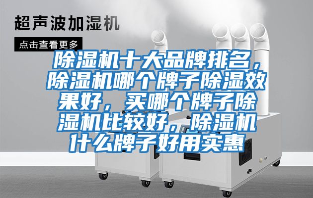 除濕機十大品牌排名，除濕機哪個牌子除濕效果好，買哪個牌子除濕機比較好，除濕機什么牌子好用實惠