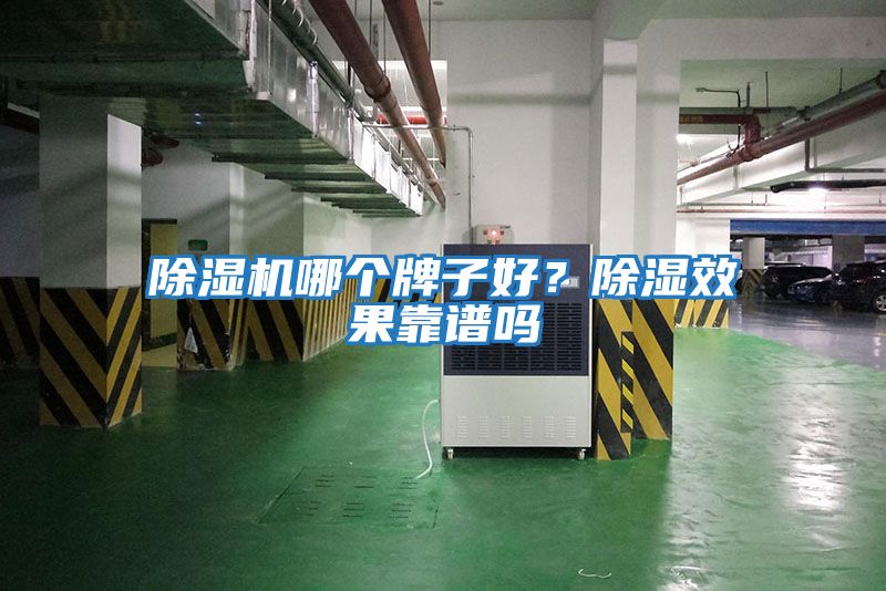 除濕機(jī)哪個牌子好？除濕效果靠譜嗎