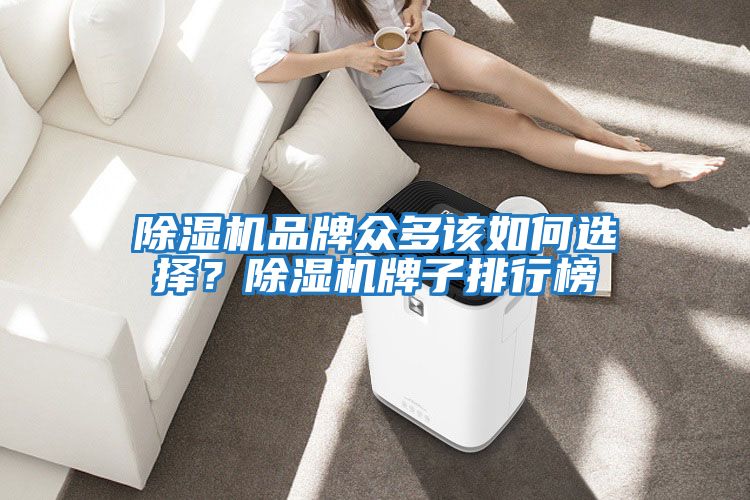 除濕機(jī)品牌眾多該如何選擇?除濕機(jī)牌子排行榜