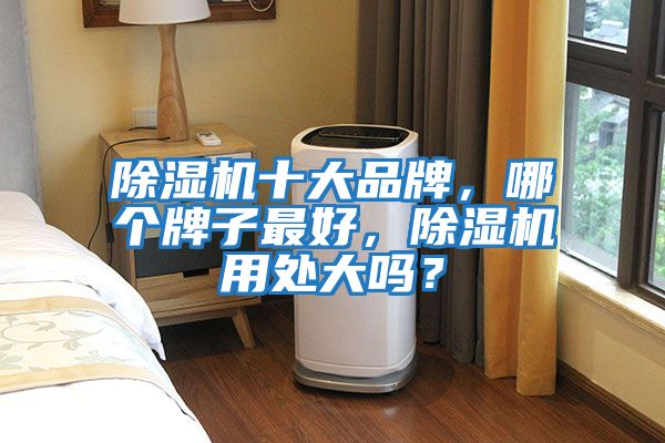 除濕機十大品牌，哪個牌子最好，除濕機用處大嗎？