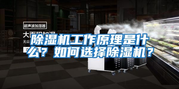 除濕機工作原理是什么?如何選擇除濕機?