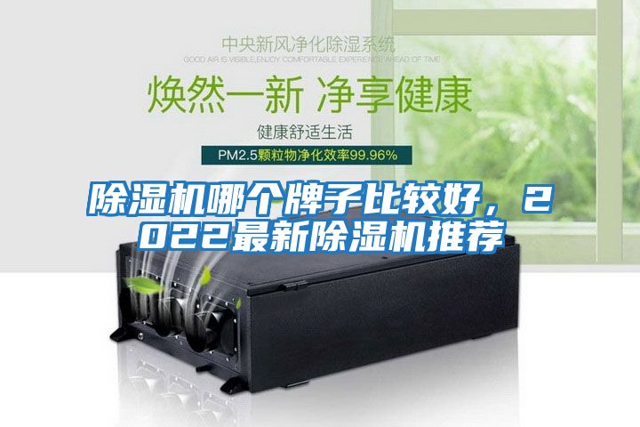 除濕機哪個牌子比較好，2022最新除濕機推薦