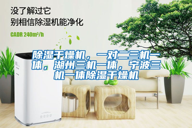 除濕干燥機，一對二三機一體，湖州三機一體，寧波三機一體除濕干燥機