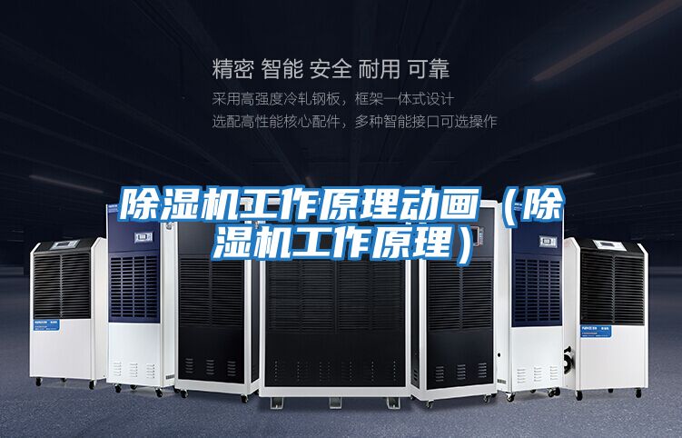 除濕機(jī)工作原理動(dòng)畫(huà)(除濕機(jī)工作原理)