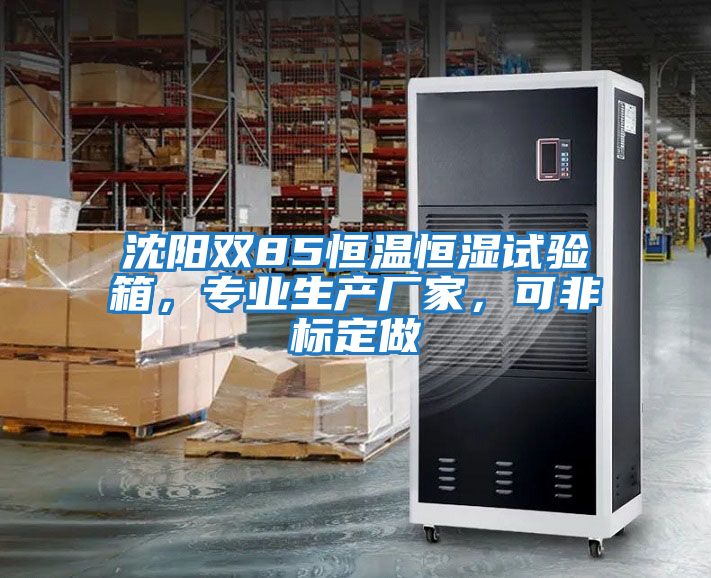 沈陽(yáng)雙85恒溫恒濕試驗(yàn)箱，專(zhuān)業(yè)生產(chǎn)廠(chǎng)家，可非標(biāo)定做