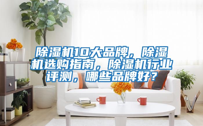 除濕機(jī)10大品牌，除濕機(jī)選購(gòu)指南，除濕機(jī)行業(yè)評(píng)測(cè)，哪些品牌好？