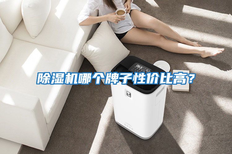除濕機(jī)哪個牌子性價比高？