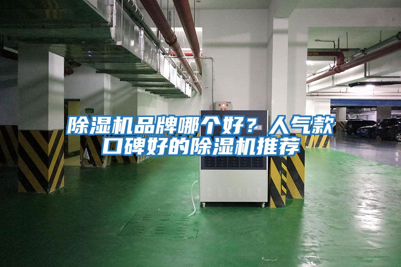 除濕機品牌哪個好？人氣款口碑好的除濕機推薦