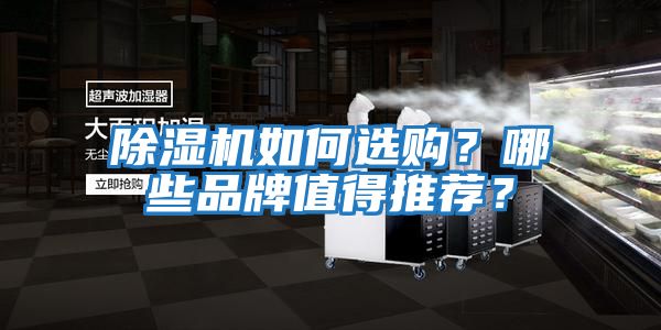 除濕機如何選購?哪些品牌值得推薦?