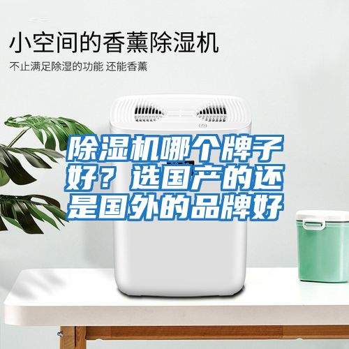 除濕機(jī)哪個(gè)牌子好?選國(guó)產(chǎn)的還是國(guó)外的品牌好