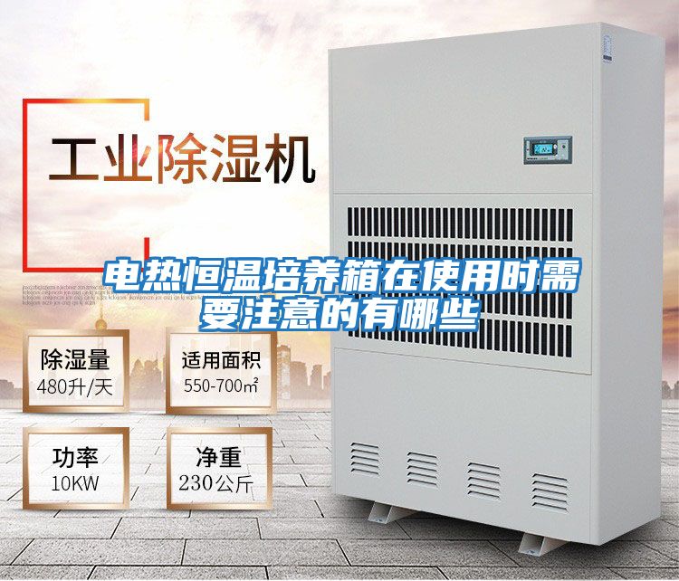 電熱恒溫培養箱在使用時需要注意的有哪些