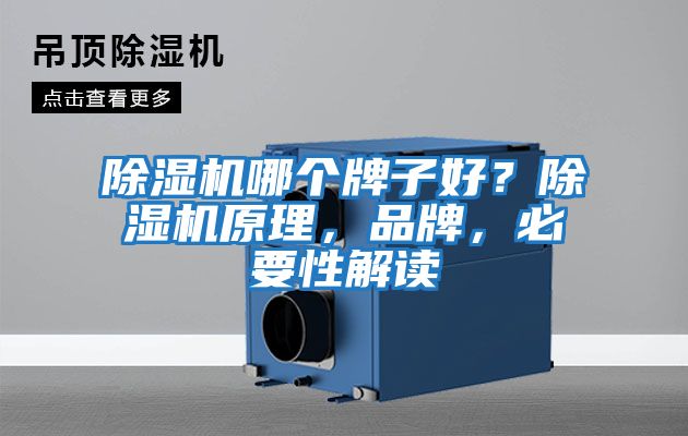 除濕機哪個牌子好?除濕機原理,品牌,必要性解讀