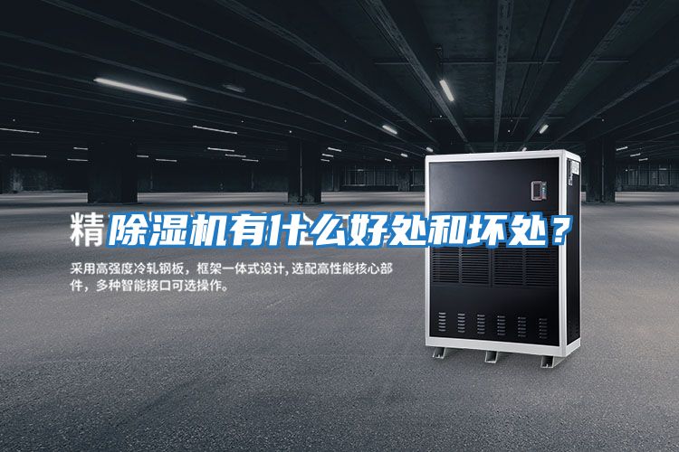 除濕機有什么好處和壞處?
