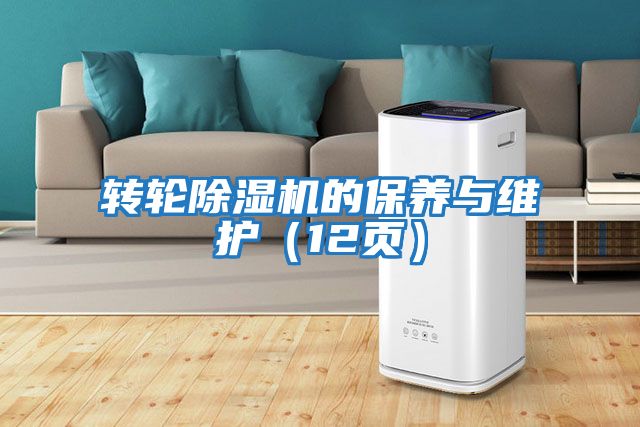 轉輪除濕機的保養與維護(12頁)