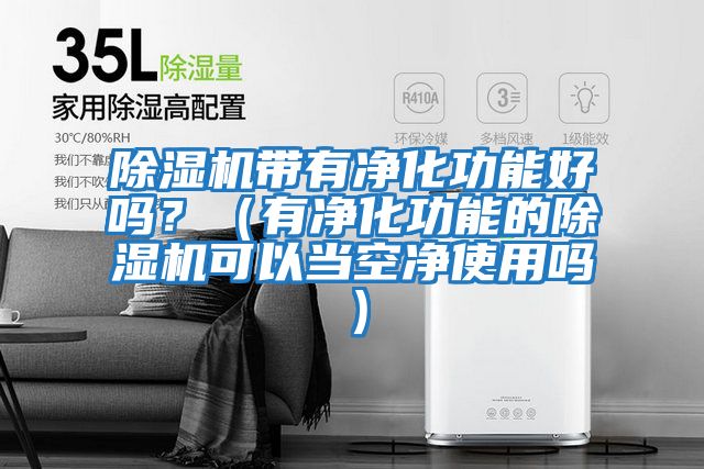 除濕機帶有凈化功能好嗎？（有凈化功能的除濕機可以當空凈使用嗎）