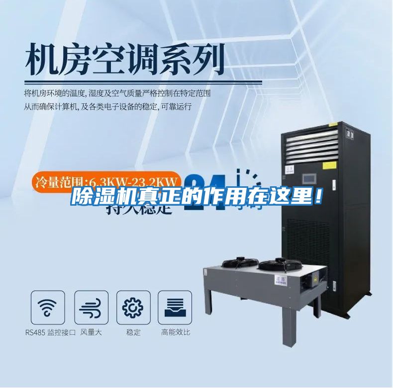 除濕機真正的作用在這里!