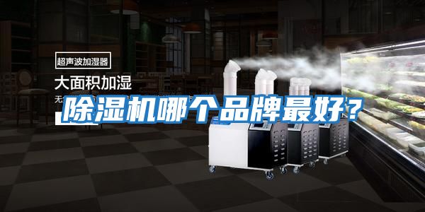除濕機哪個品牌最好?