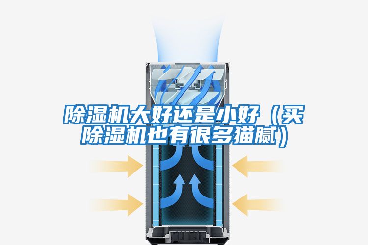 除濕機(jī)大好還是小好(買除濕機(jī)也有很多貓膩)