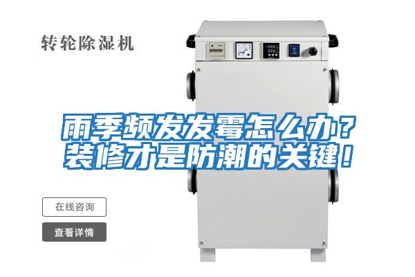 雨季頻發發霉怎么辦？裝修才是防潮的關鍵！