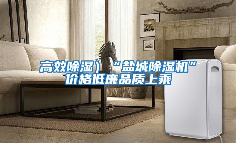 高效除濕)“鹽城除濕機”價格低廉品質上乘