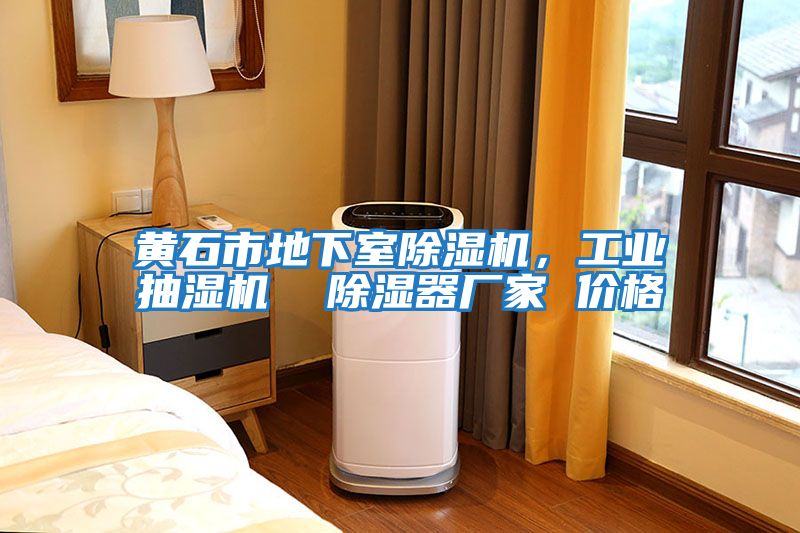 黃石市地下室除濕機，工業抽濕機  除濕器廠家 價格
