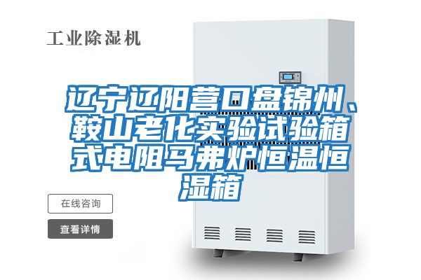 遼寧遼陽(yáng)營(yíng)口盤(pán)錦州、鞍山老化實(shí)驗(yàn)試驗(yàn)箱式電阻馬弗爐恒溫恒濕箱