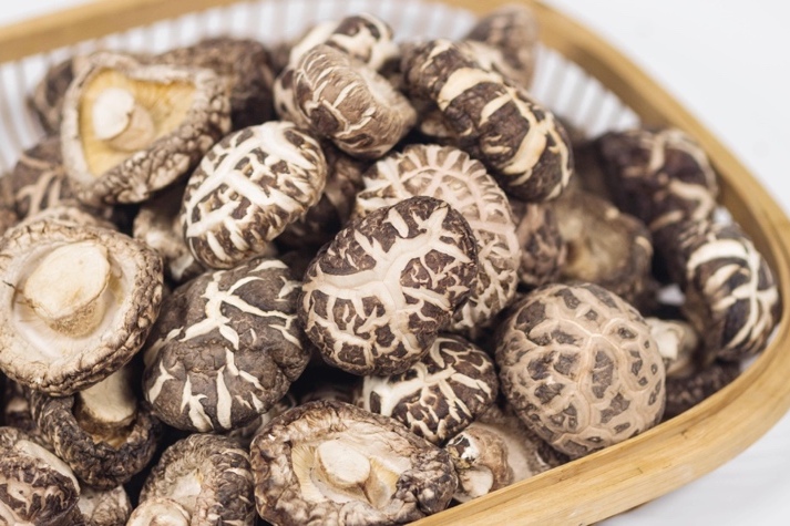 干貨倉庫怎么利用除濕機保持干爽？